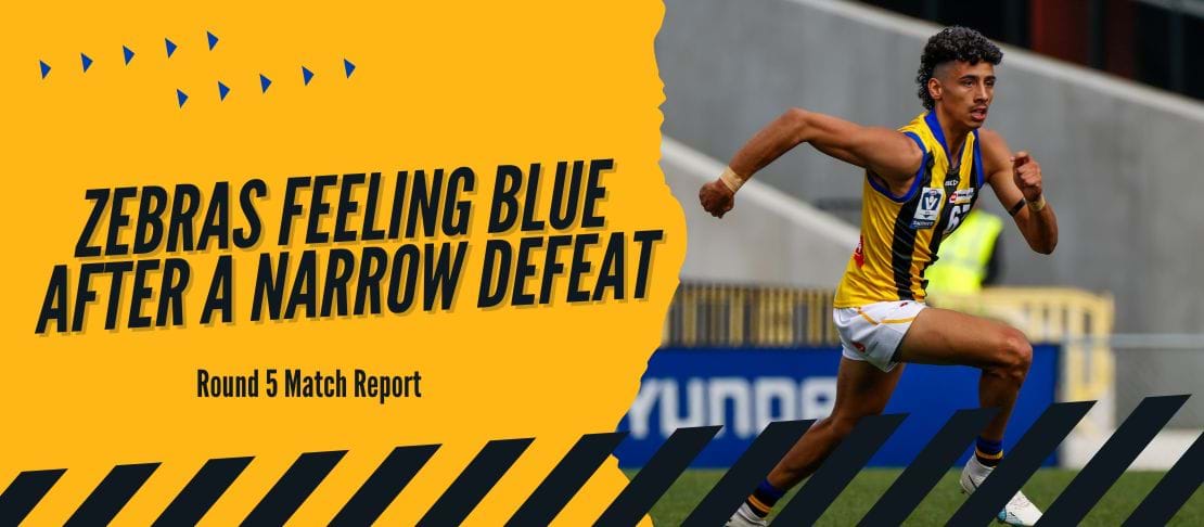 Zebras feeling Blue after a narrow defeat