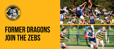Former Dragons join the Zebs