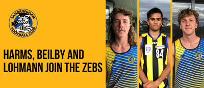 Trio of new signings for the Zebras