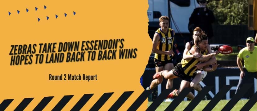 Zebras take down Essendon's hopes to land back to back wins