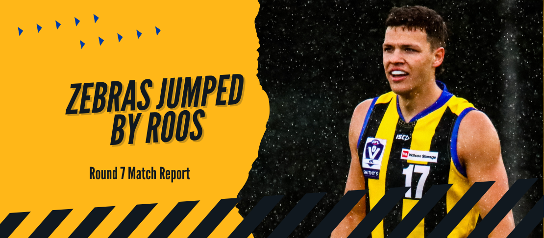 Zebras jumped by Roos