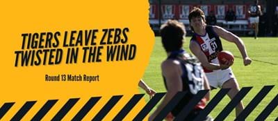 Tigers leave Zebs twisted in the wind